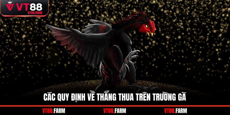 Các quy định về thắng thua trên trường gà