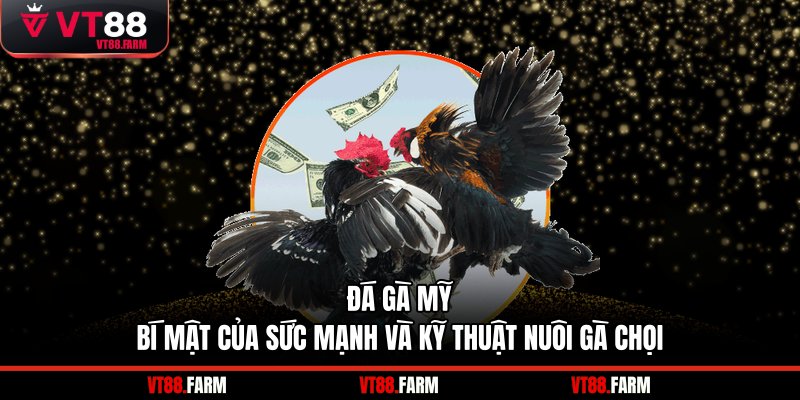 đá gà Mỹ